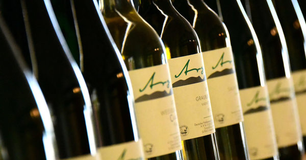Sauvignon Blanc trocken, Qualitätswein Pfalz - Weingut Peter Argus - 0,75 l