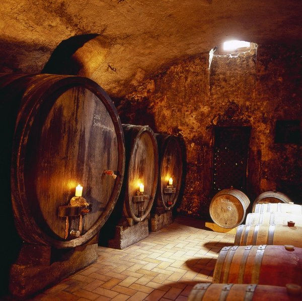 Chardonnay Spätlese trocken, Pfalz - Weingut Peter Argus - 0,75 l