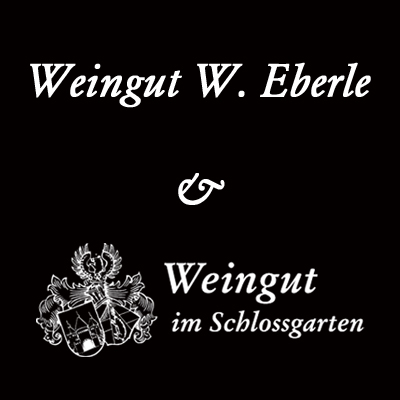 Wachenheimer Schenkenböhl Riesling trocken, Qualitätswein Pfalz - Weingut Eberle - 1 l